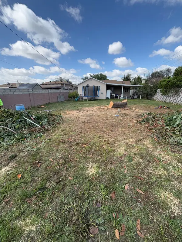 The yard cleared and leveled, ready for layout and the foundation